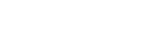 logo nittiv